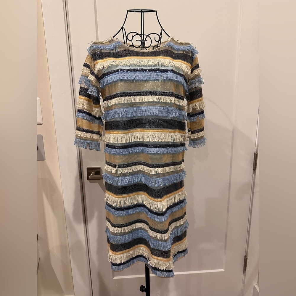 “Sequined, fringed, long-sleeve dress with an inner strappy layer.”